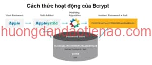 Thuật toán Bcrypt là gì? Cùng tìm hiểu về hàm băm Bcrypt