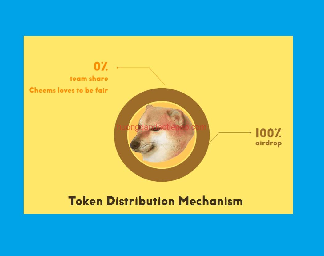 CHEEMS là gì? Chi tiết về Meme Coin CHEMS